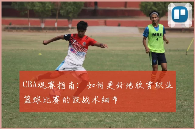 CBA观赛指南：如何更好地欣赏职业篮球比赛的技战术细节