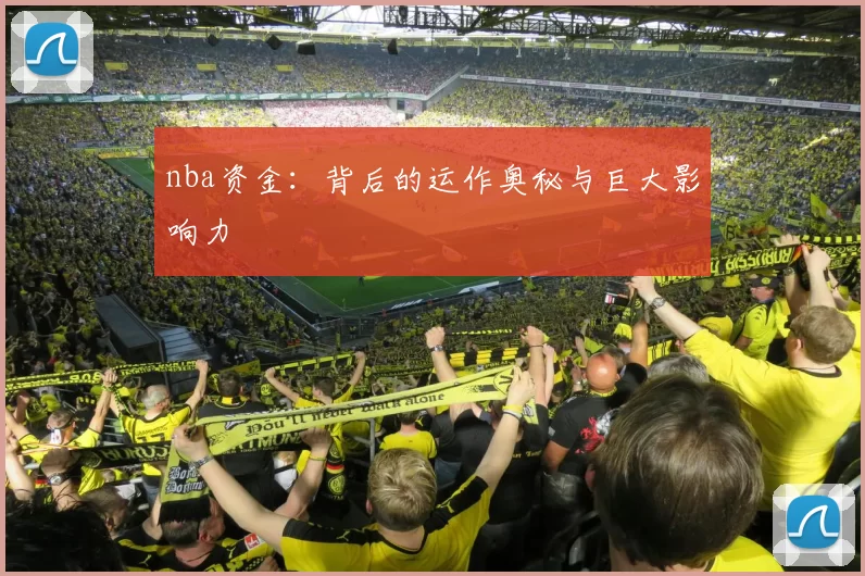 nba资金：背后的运作奥秘与巨大影响力