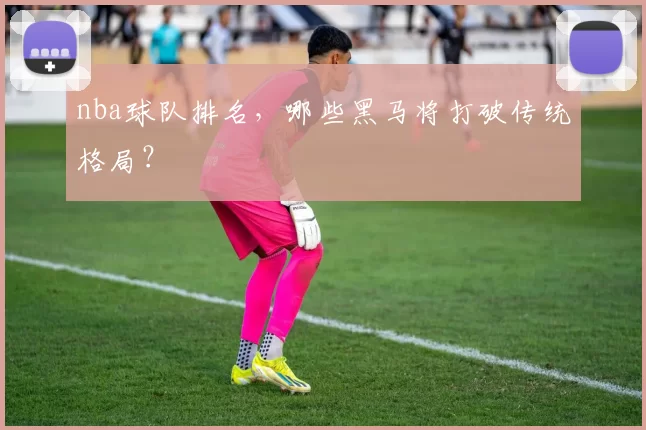 nba球队排名，哪些黑马将打破传统格局？