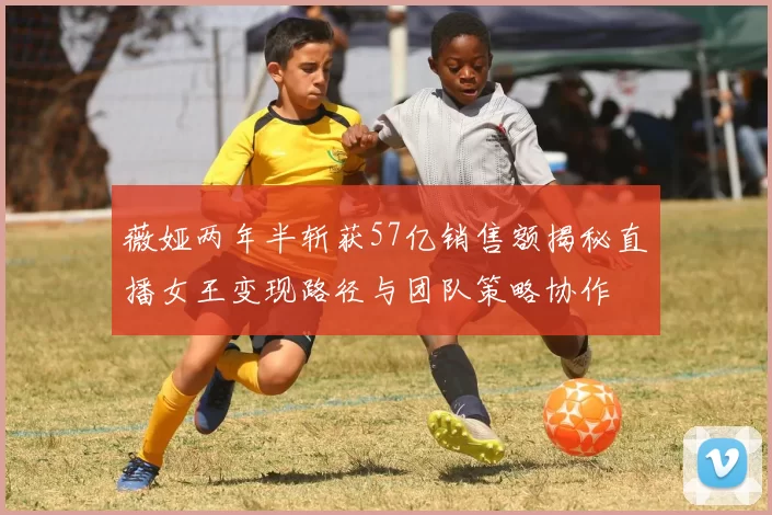 薇娅两年半斩获57亿销售额揭秘直播女王变现路径与团队策略协作