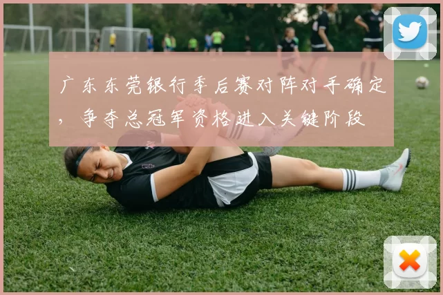 广东东莞银行季后赛对阵对手确定，争夺总冠军资格进入关键阶段