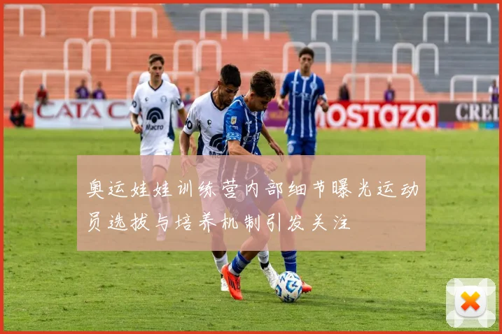 奥运娃娃训练营内部细节曝光运动员选拔与培养机制引发关注