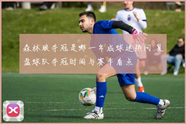 森林狼夺冠是哪一年成球迷热问 复盘球队夺冠时间与赛季看点