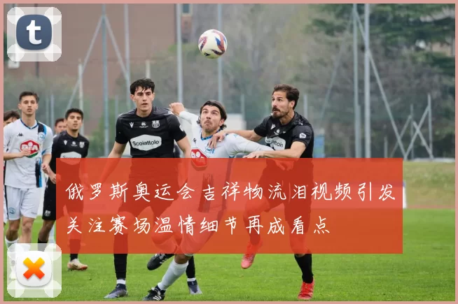 俄罗斯奥运会吉祥物流泪视频引发关注赛场温情细节再成看点