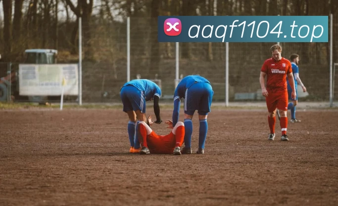 开云·kaiyun体育(中国大陆)官方网站 登录入口平台生态图